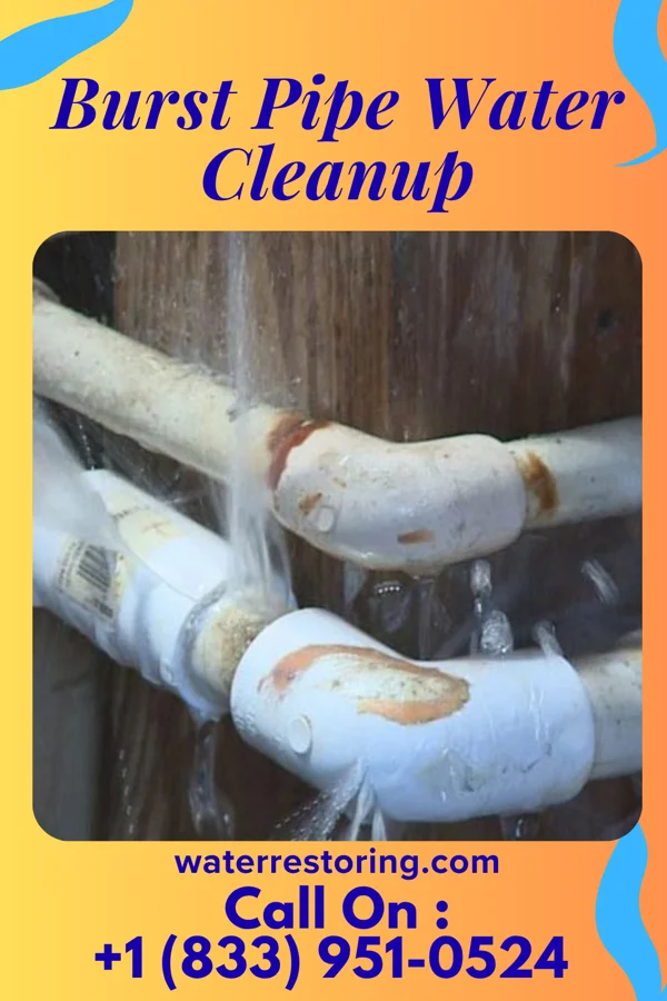 Burst Pipe Water Cleanup in Bellwood, PA