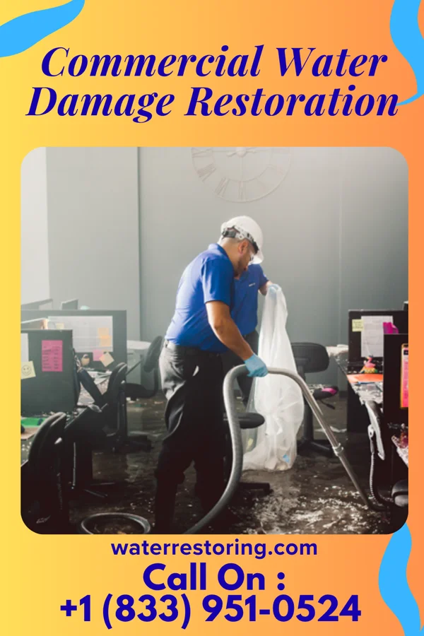 Commercial Water Damage Restoration in Bellwood, PA