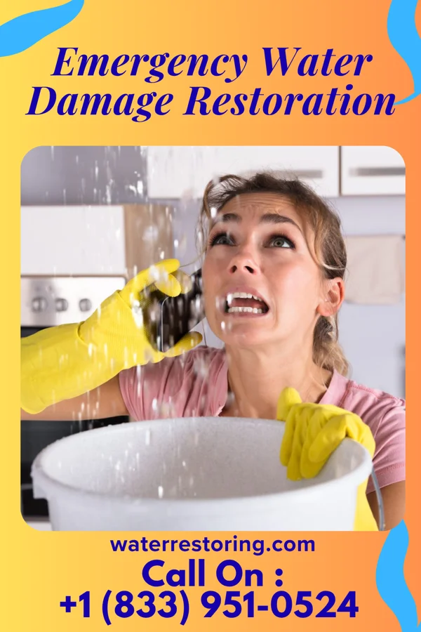Emergency Water Damage Restoration in Bellwood, PA