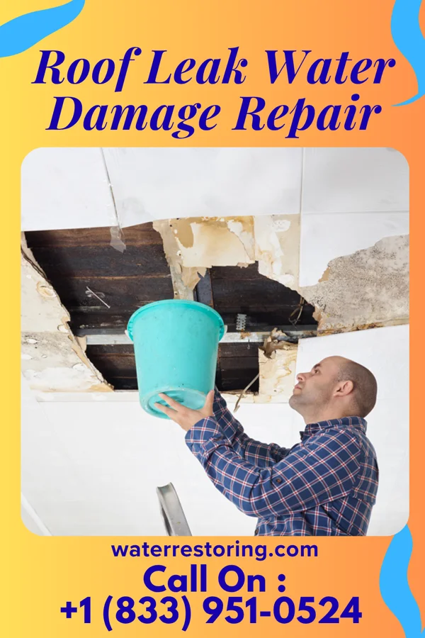 Roof Leak Water Damage Repair in Bellwood, PA